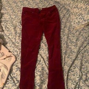 Hot Kiss 💋 Velvet Skinny Jeans